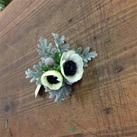 fwthumbAnemone & Senecio.jpg